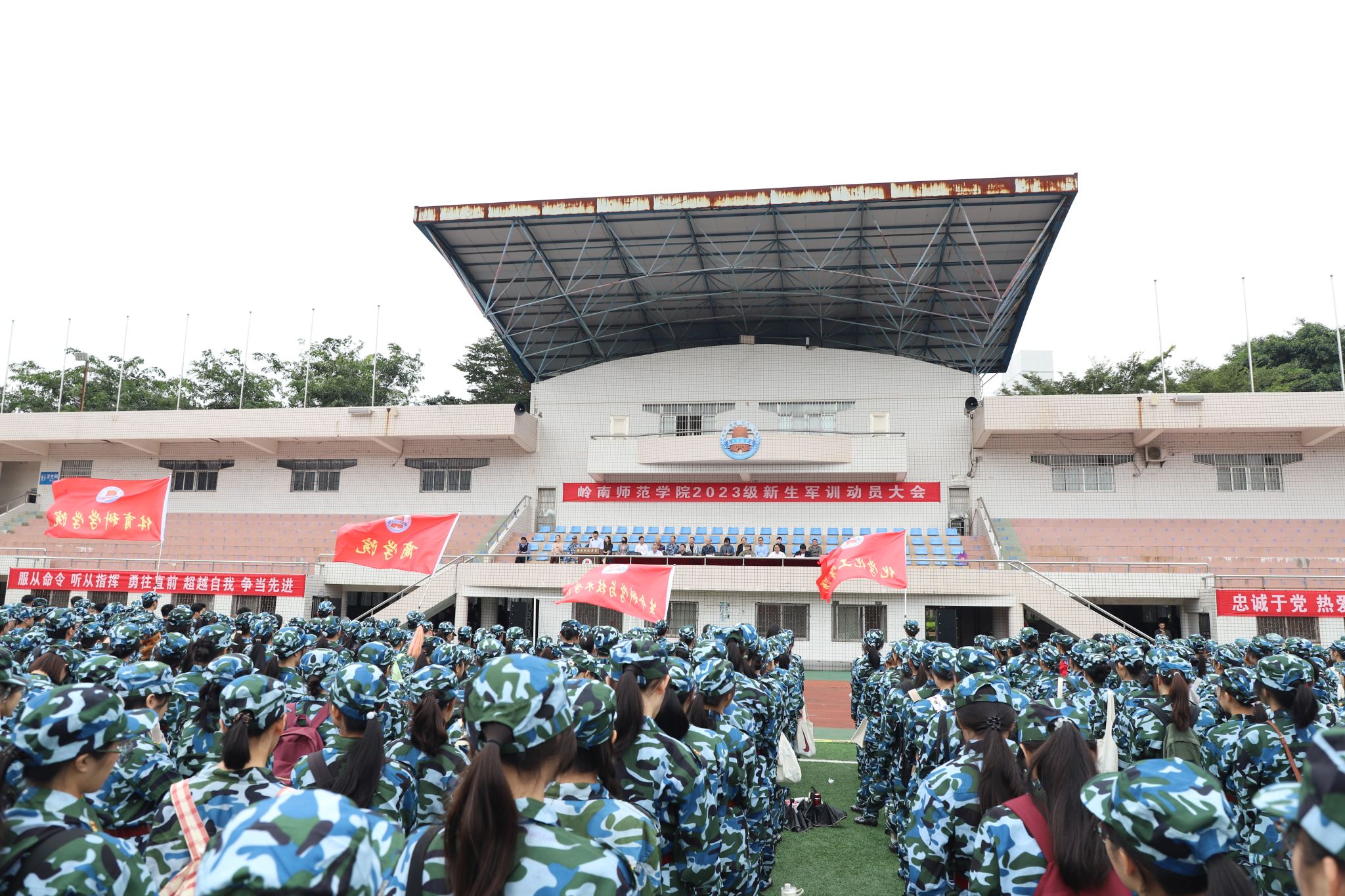 可选IMG_1382.JPG