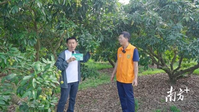 a5cfcd5d40da48f1916eee9132d6b02a_batchwm.jpg
